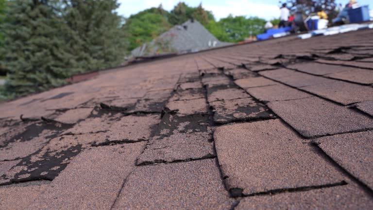 Best Flat Roofing  in Oakdale, PA